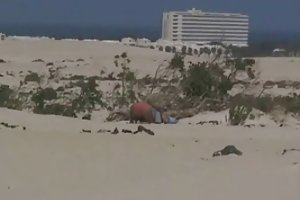 زاده و پیر مرد در ساحل دانلود ویدئو در صد