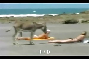 خنده دار..4....ch. تالار گفتگوی جوانان ایرانی, دامن