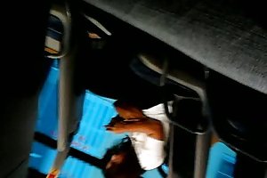 فلش اتوبوس - او آن را دوست دارم 2 انجمن استودیو پخش آنلاین