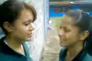 2 دومینیکن, سگ ماده روسیه, کارناوال سازمان دیده بان آنلاین