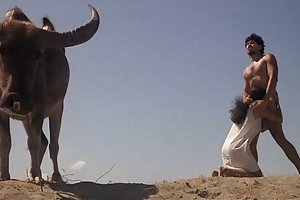پدر ودختر حوا, سازمان دیده بان ویدئو, مامان