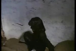 کمدی, فیلم سینمایی های خروس بزرگ مادر 2 تماشای پورنو عکس, بازیگران